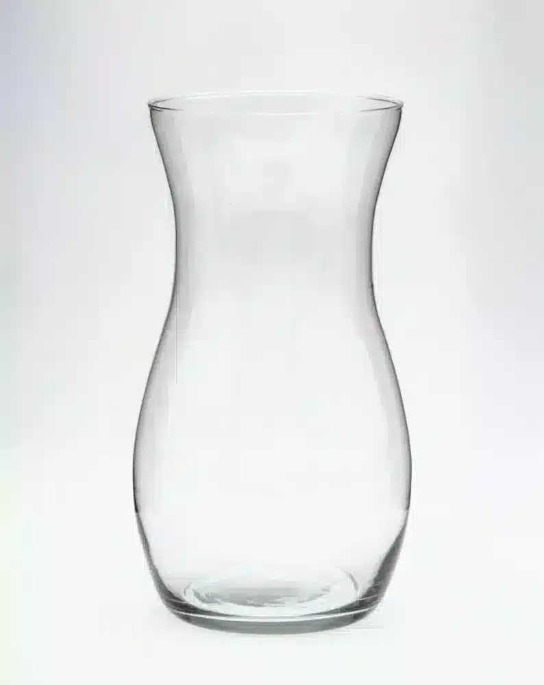 Claudia Vase