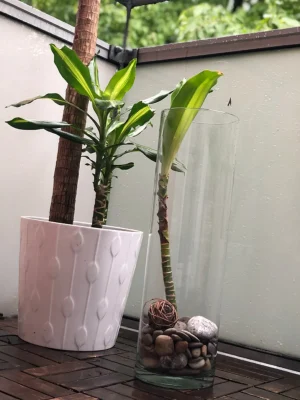 Cylinder vase Ø10 - 50cm