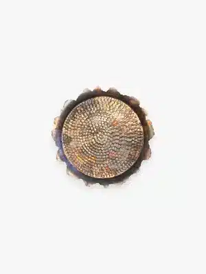 Turin copper tray - Retro